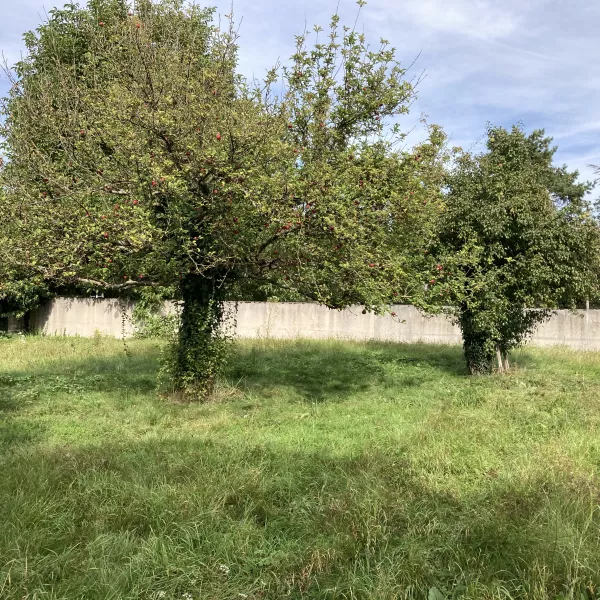 DRUSENHEIM - GRAND TERRAIN CONSTRUCTIBLE