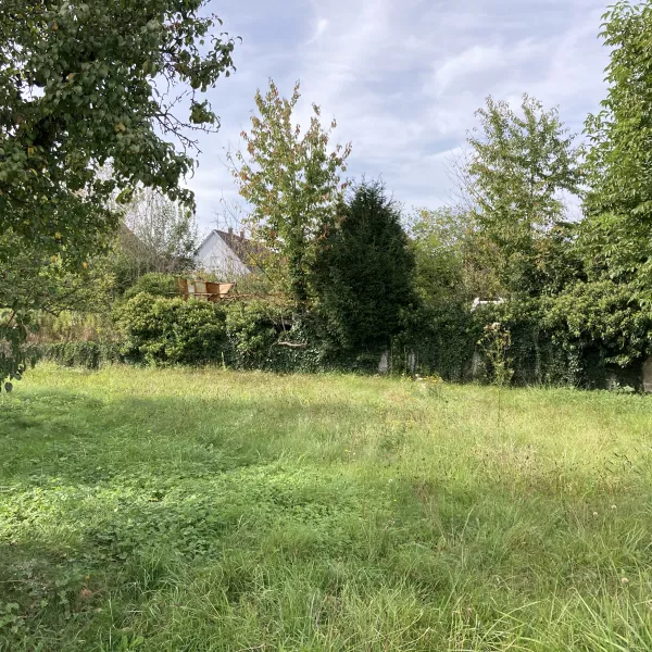 DRUSENHEIM - GRAND TERRAIN CONSTRUCTIBLE