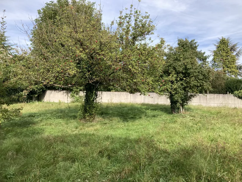 DRUSENHEIM - GRAND TERRAIN CONSTRUCTIBLE