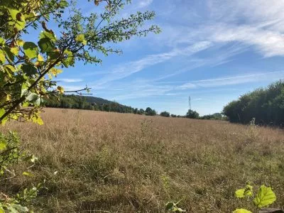 LOTISSEMENT WESTERFELD